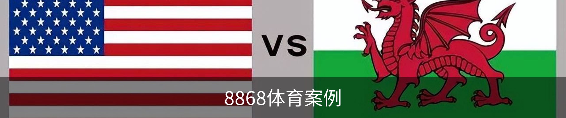 8868体育案例